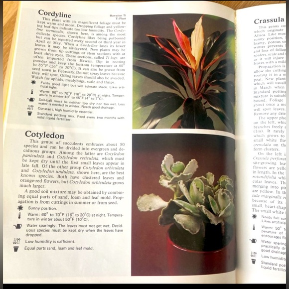 How to Grow Healthy House Plants Book - Picture 7 of 7